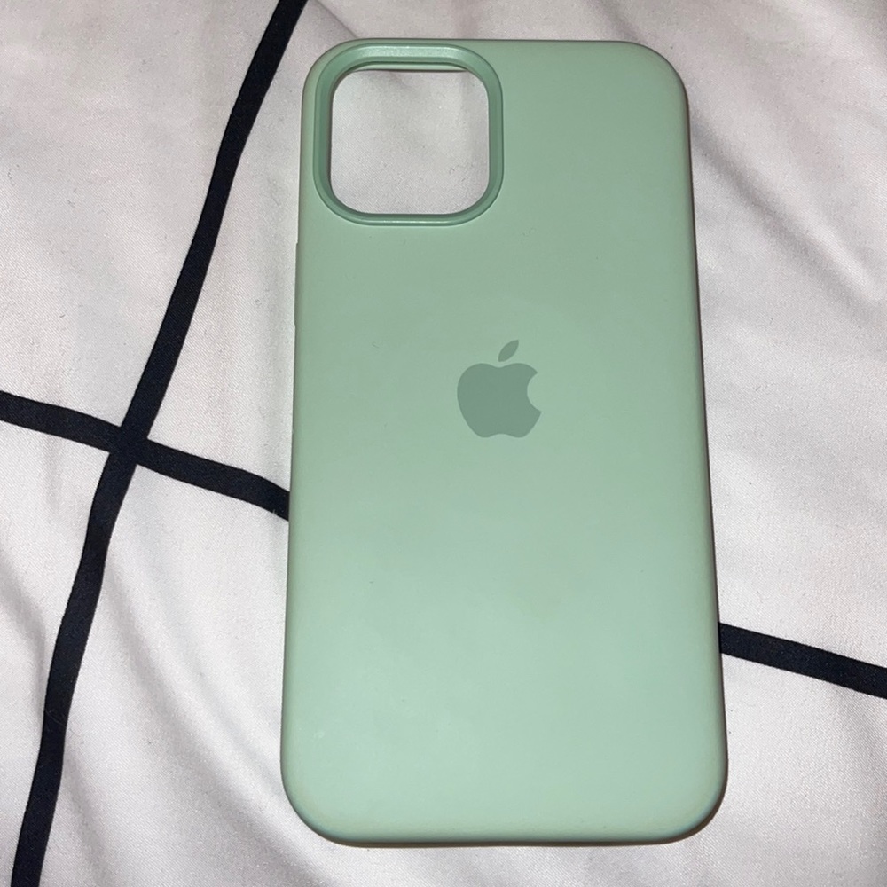 Apple Pistachio Silicone Case iPhone 12 Pro Max